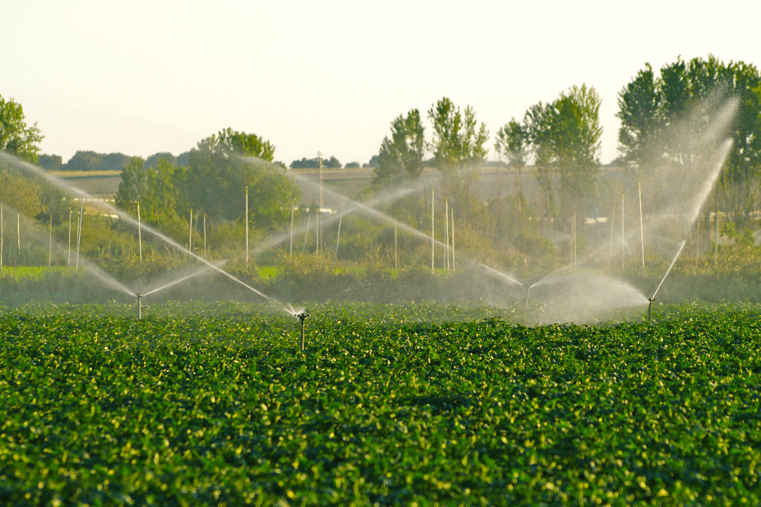 Irrigation systems